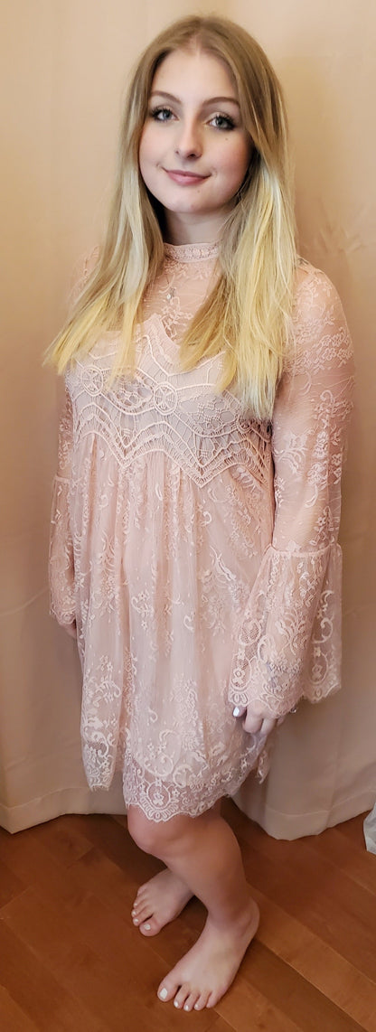 Vintage Pink Sheer Lace Dress